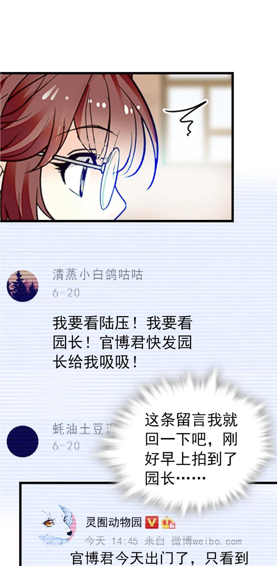 088 人鸟互动4