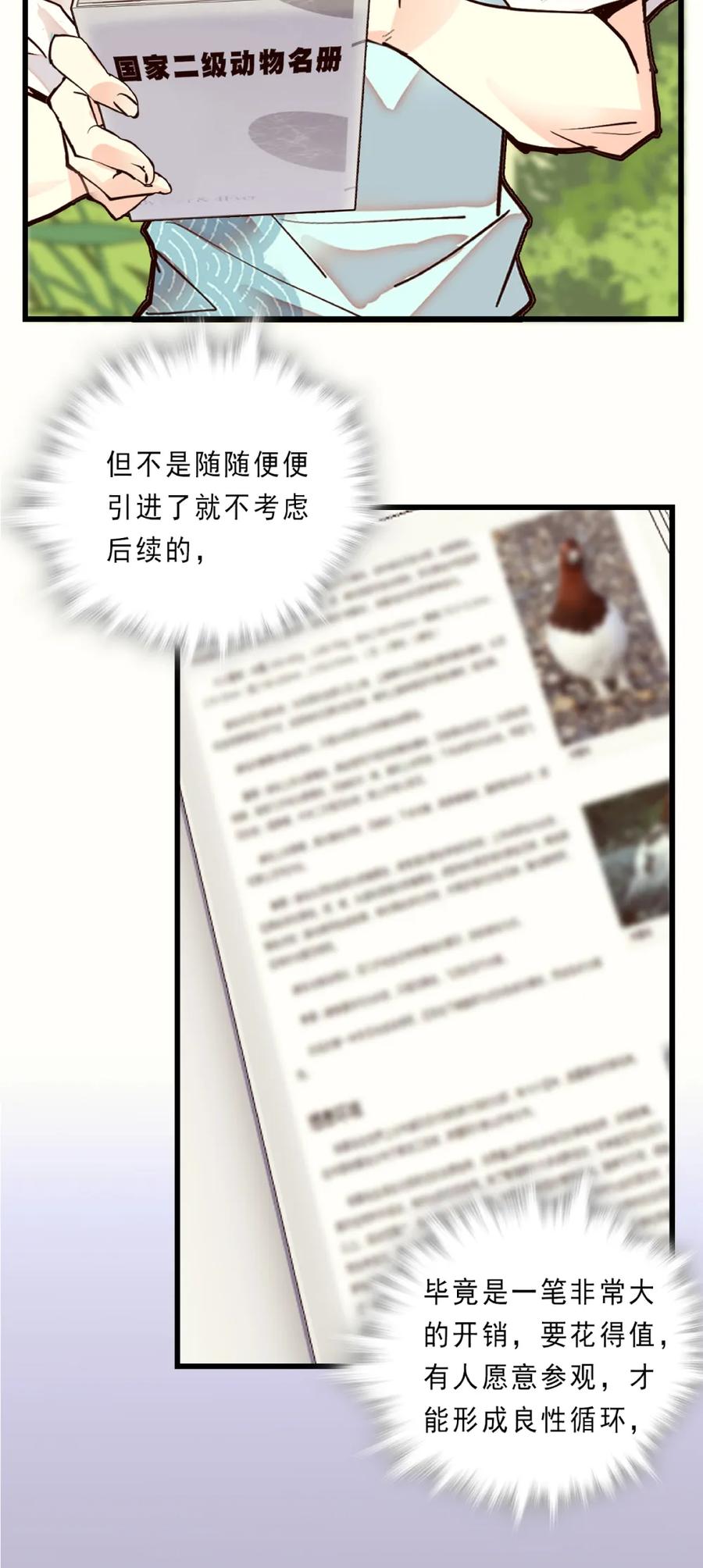 080 一波又起3