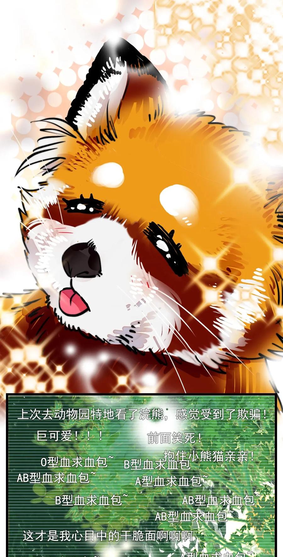 097 逗猫猫0