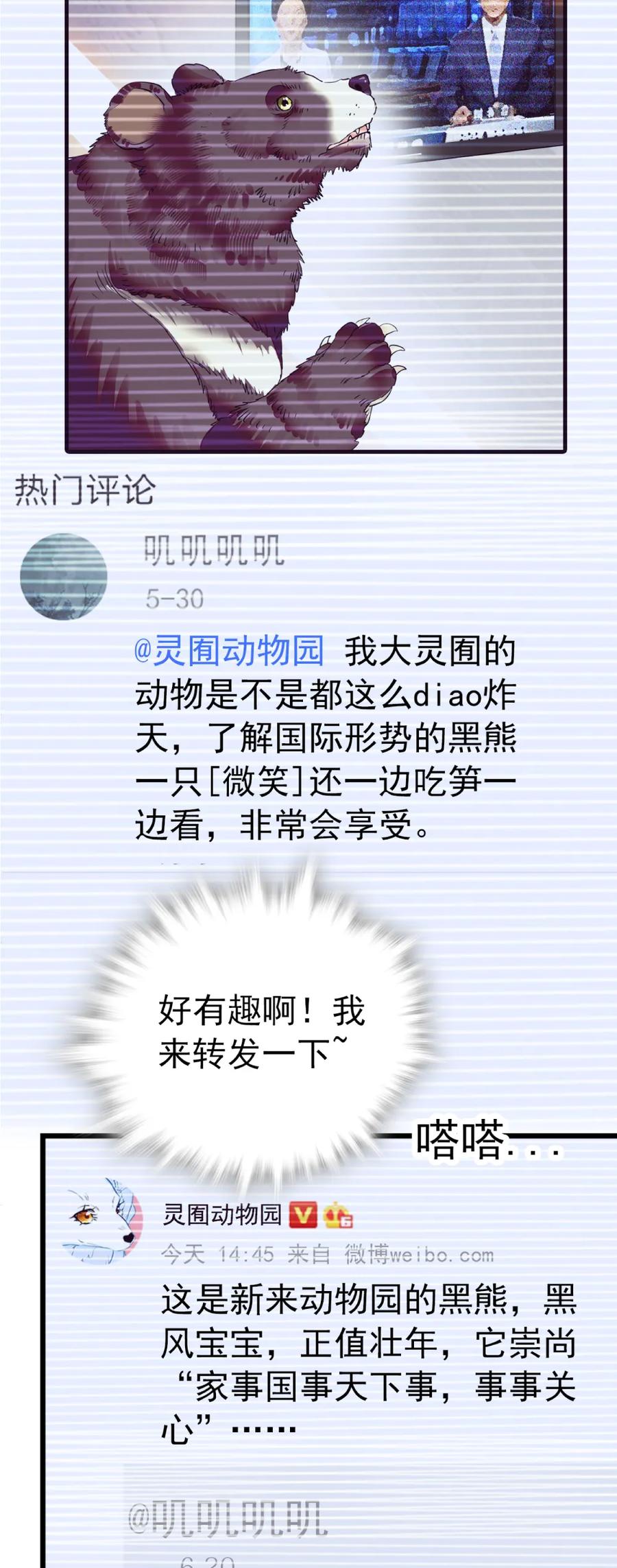 088 人鸟互动2