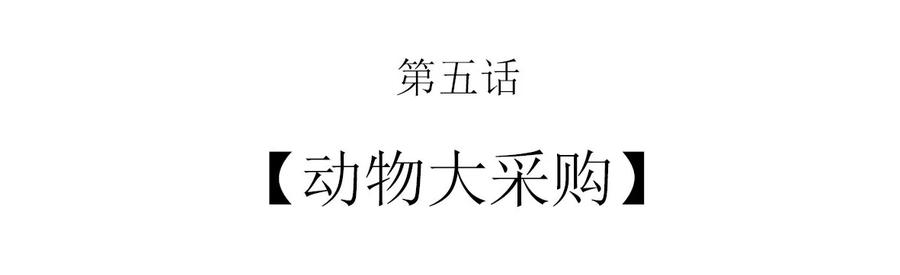 005 动物大采购1