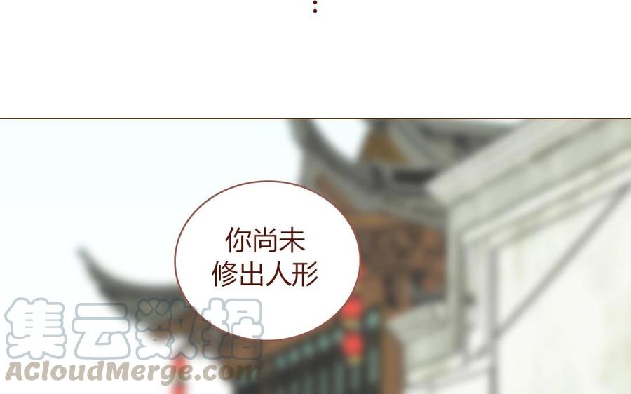 第49话 只是想报个恩1