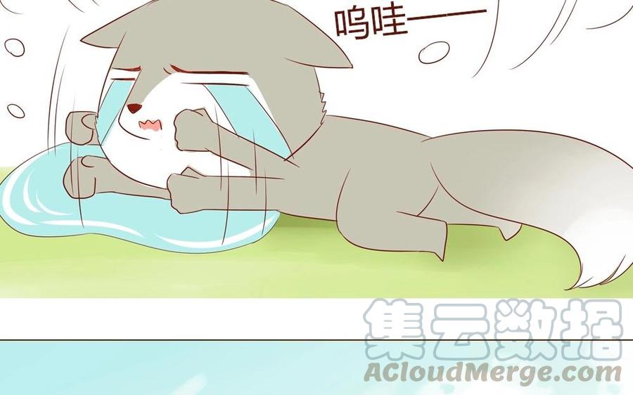 第52话 老司机授课时间4