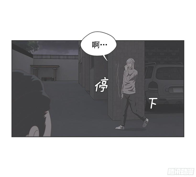 浣熊的落魄2