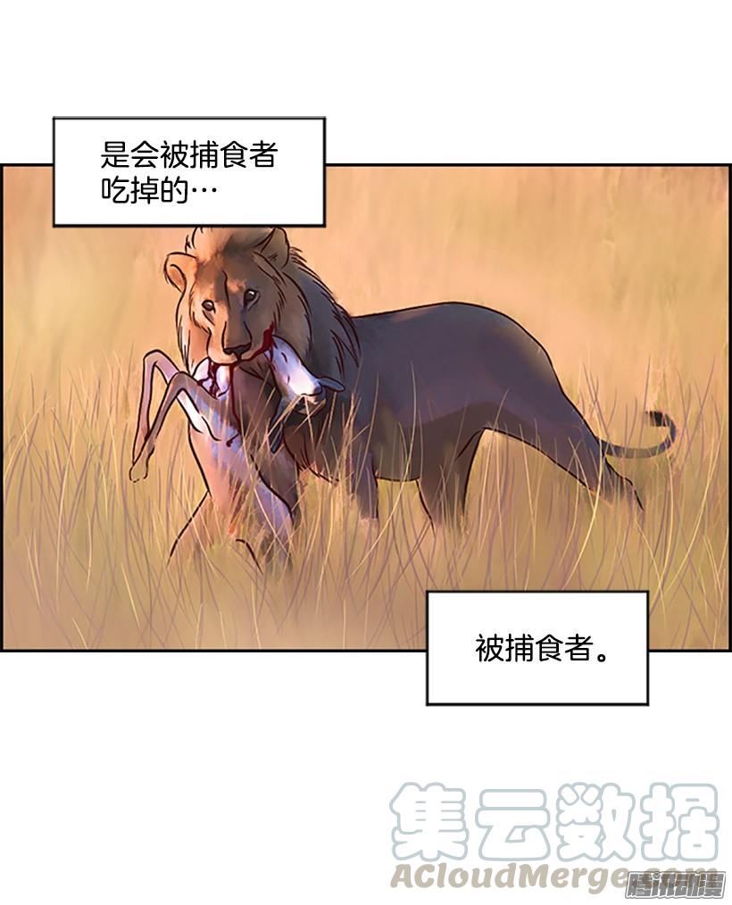 反击0
