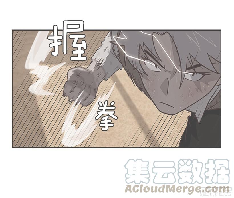 浣熊的落魄0