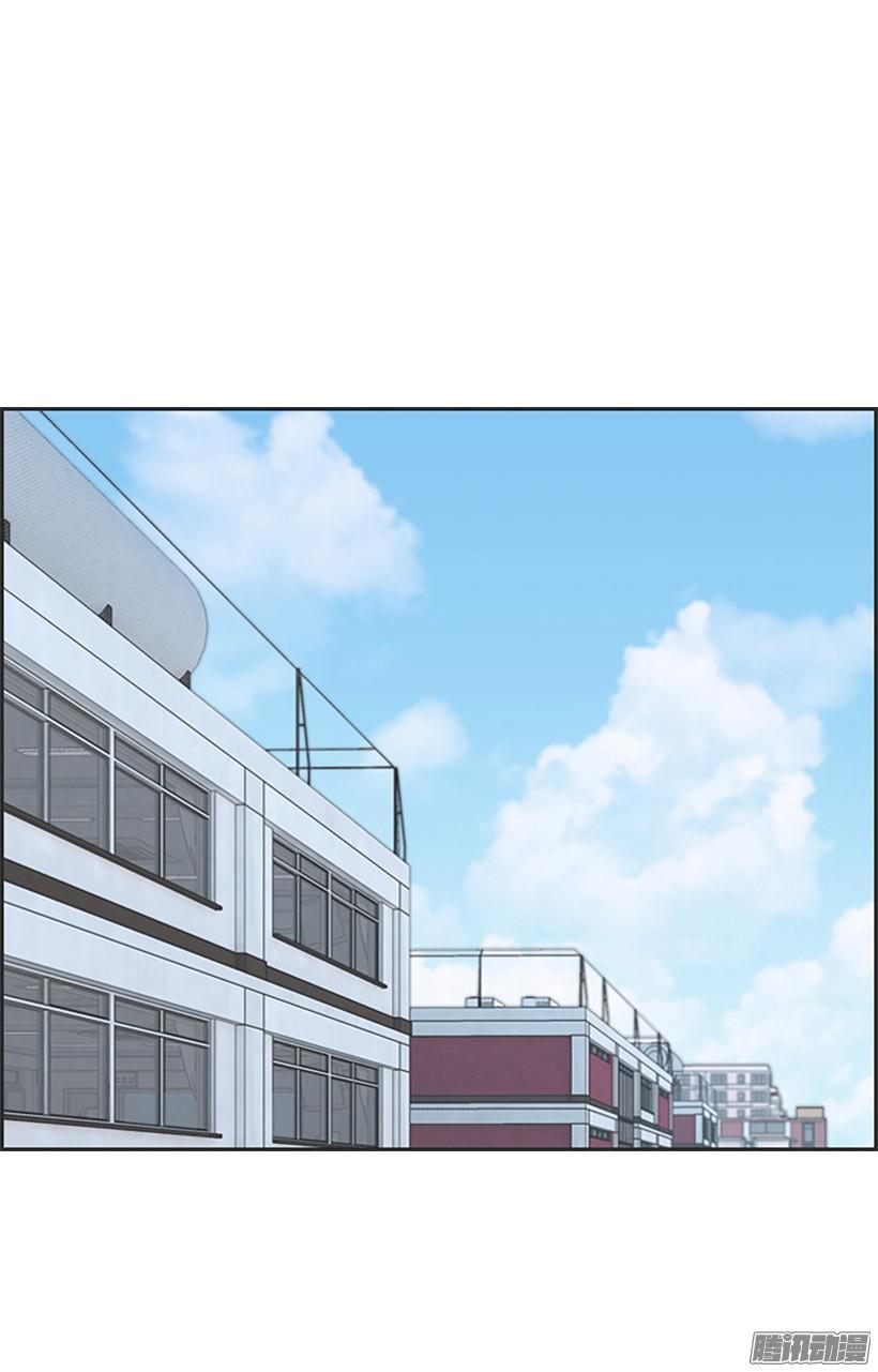 挡箭牌3
