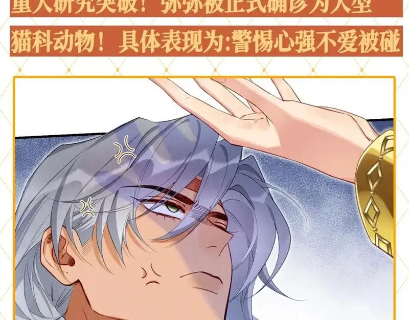第45期 整活企划：你们这都没有在谈吗？3