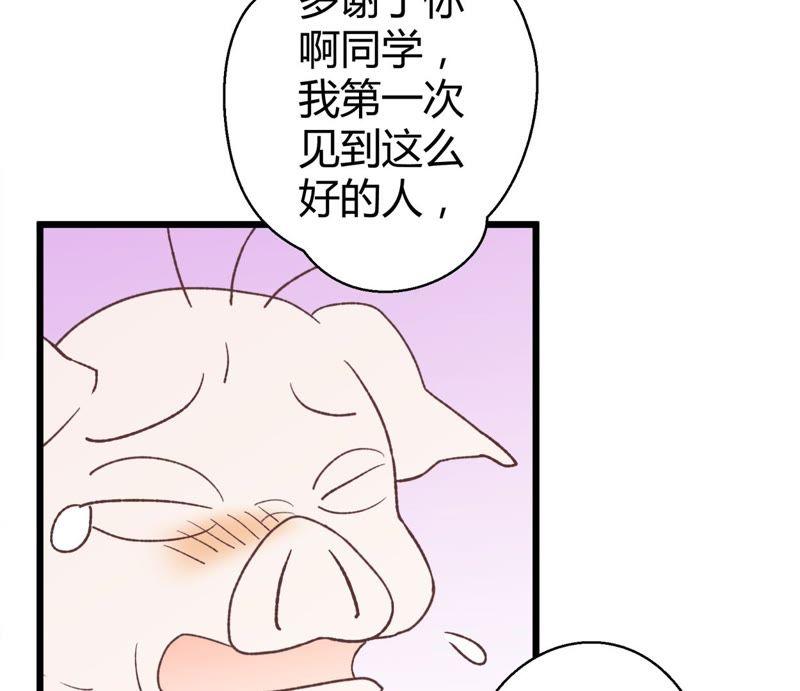 第70话 落叶的复活24