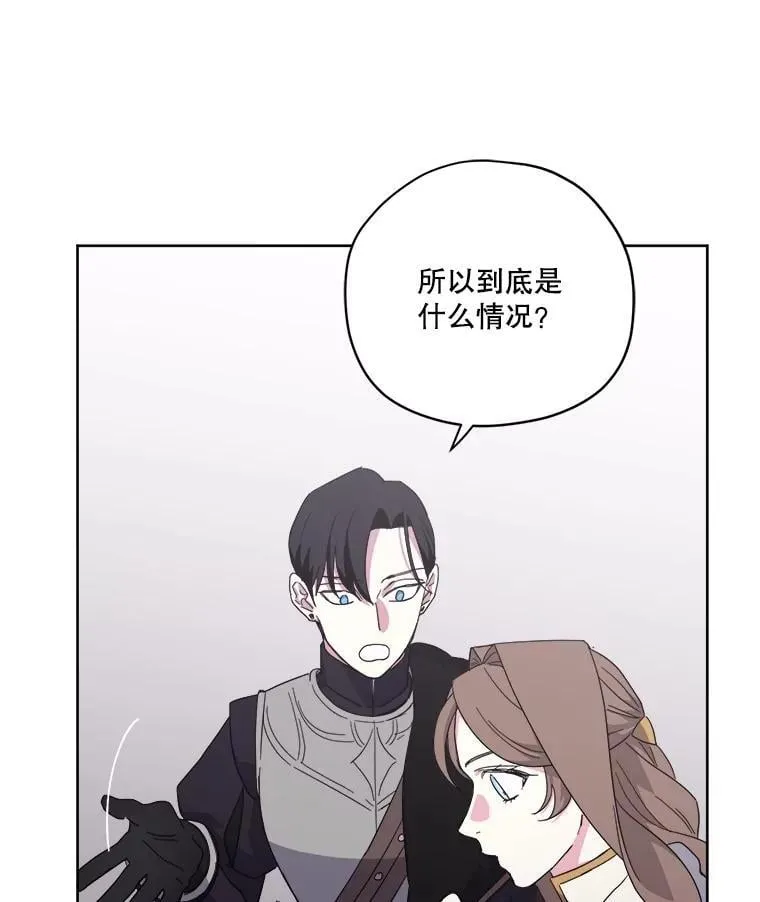 334.依计而行3
