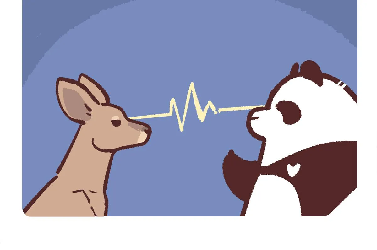 第231话4