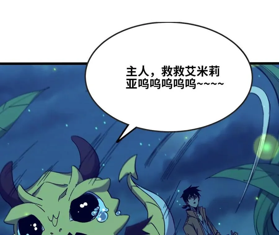 135 正式表白2