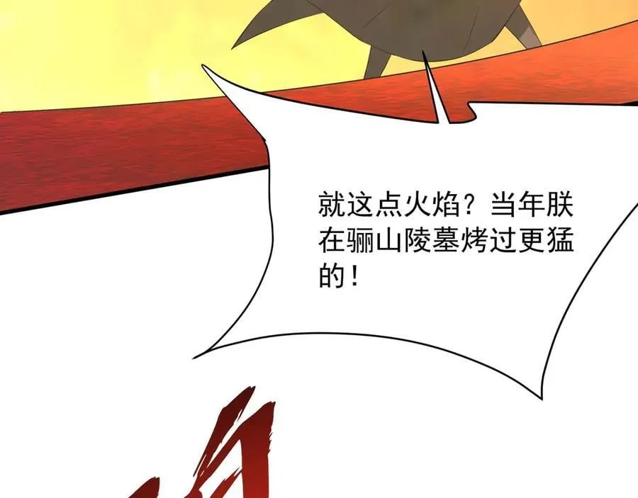 第206话 激战！熔岩之域！1