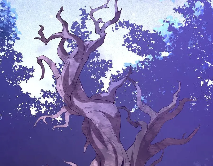 第213话 暗夜精灵一族的诅咒！1