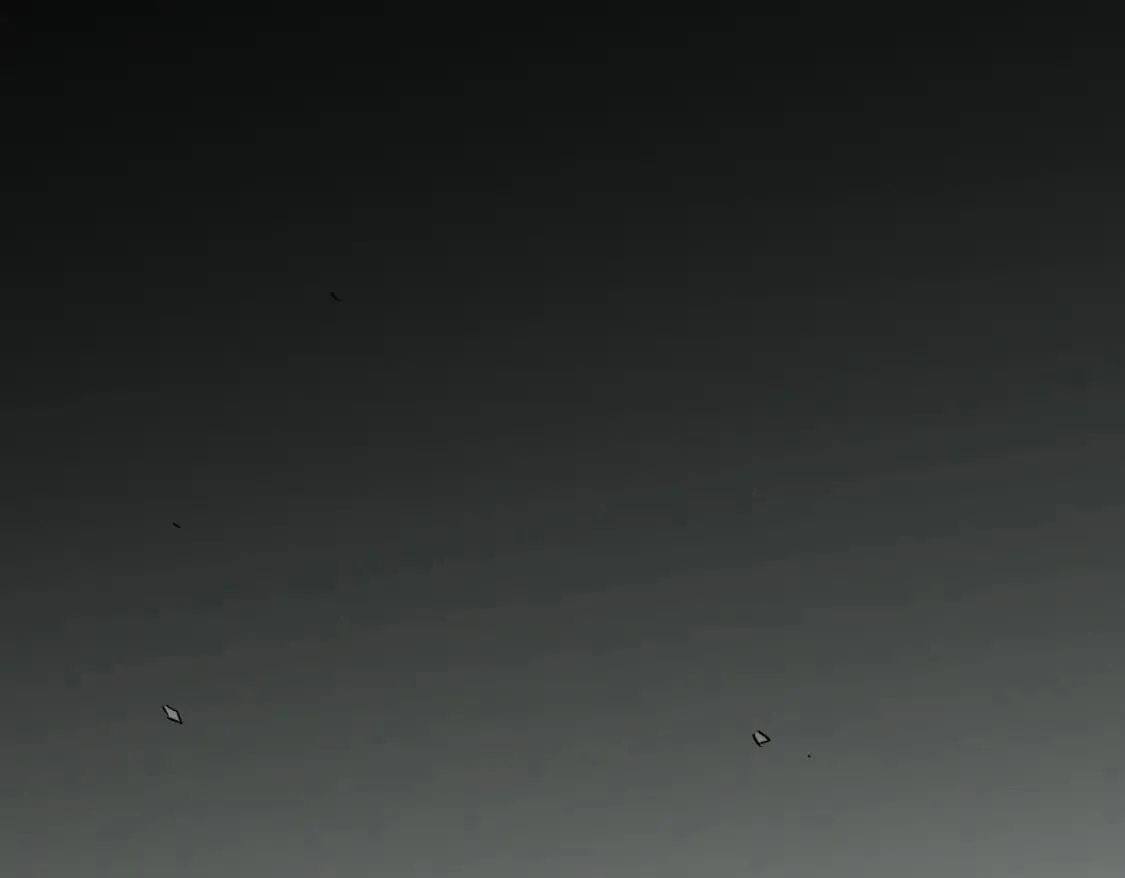 第44话 确实很‘稀罕’4