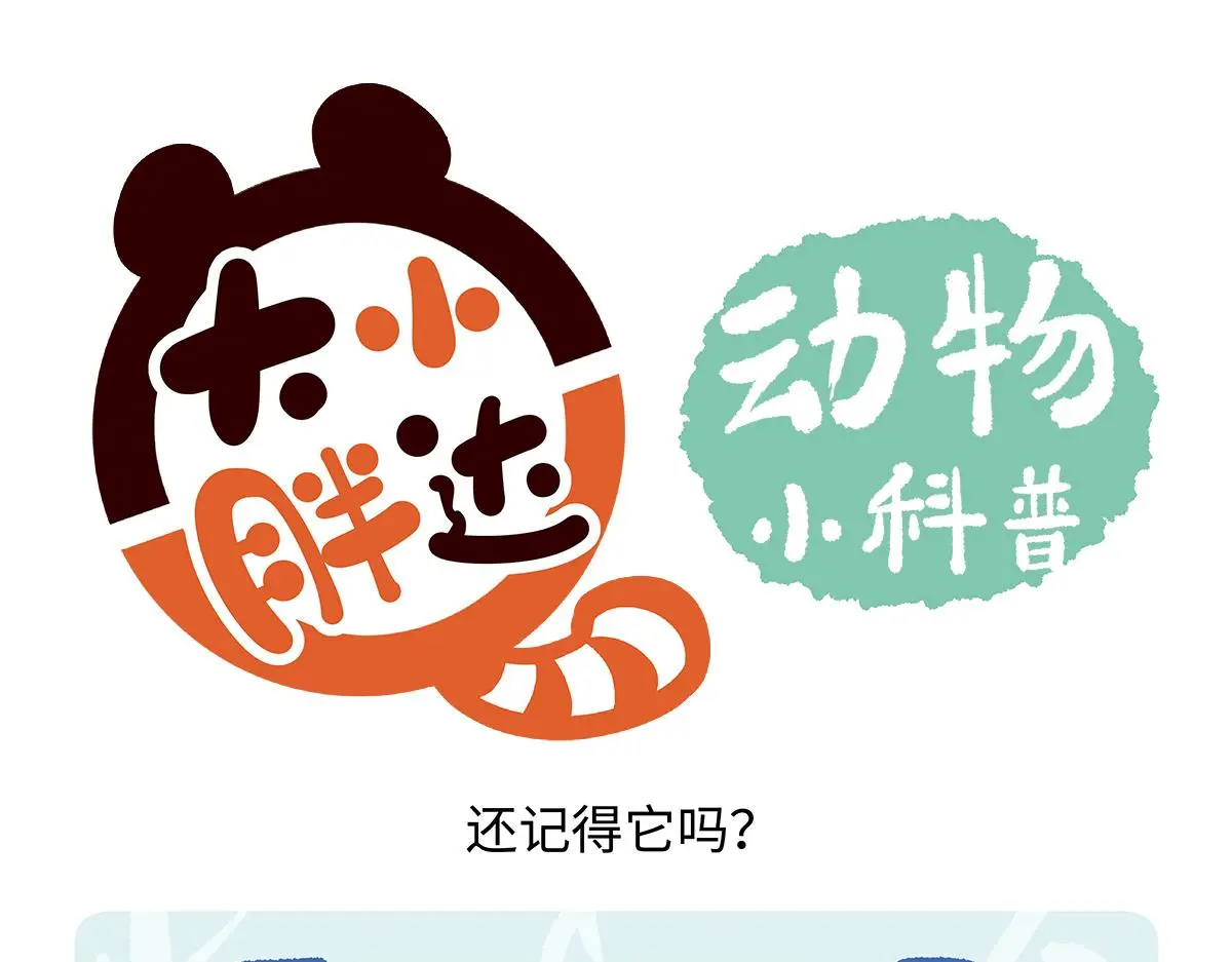 第191话4