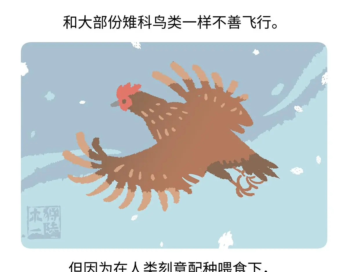 第172话3