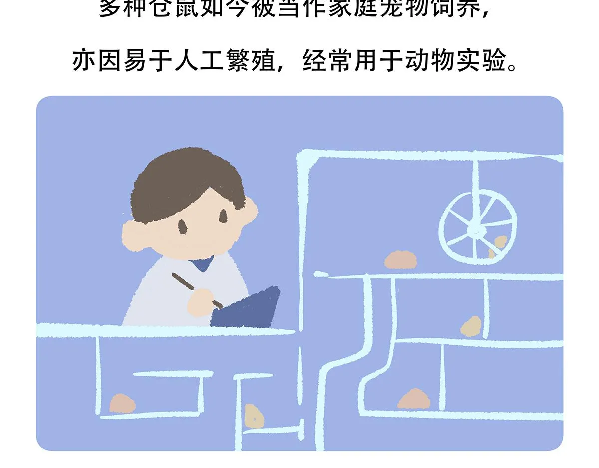 第152话0