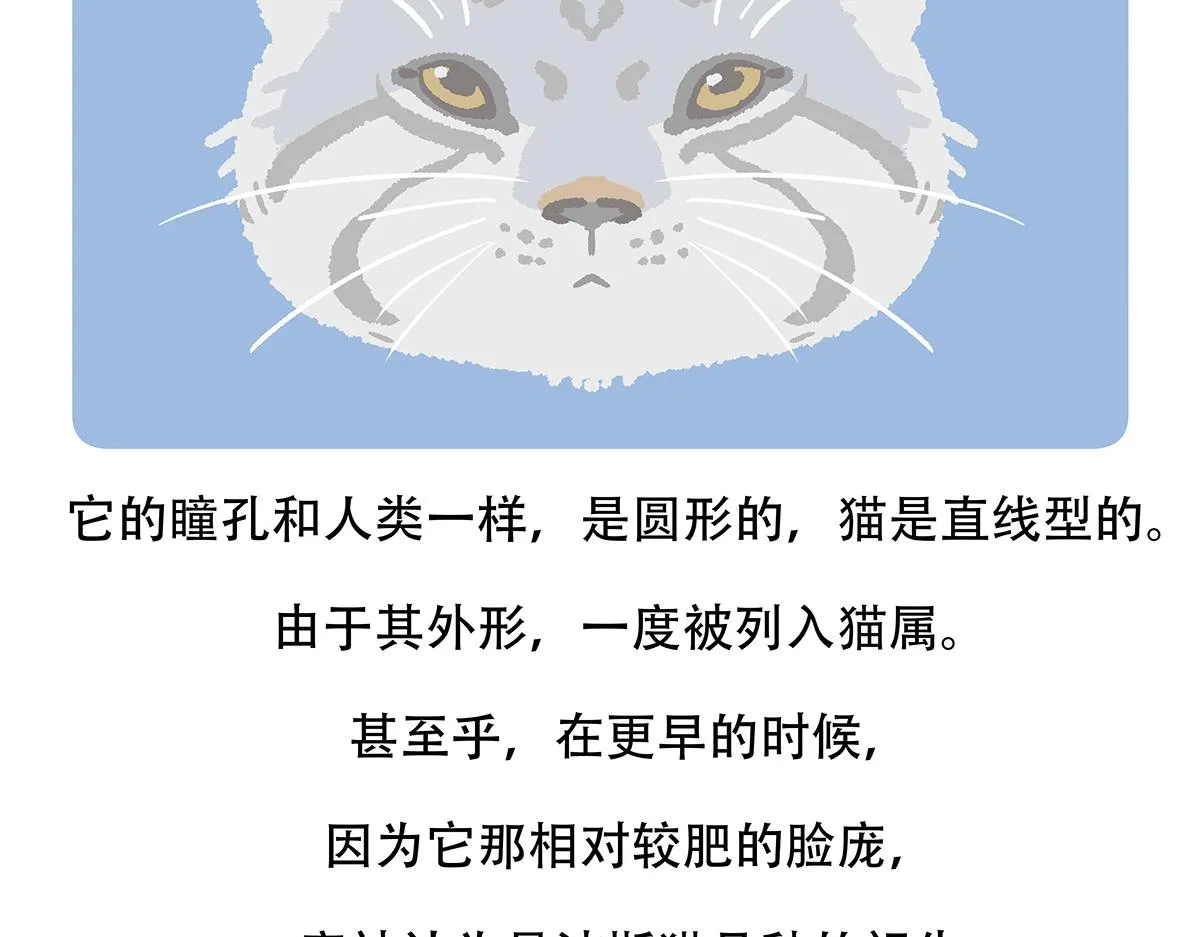 第148话4