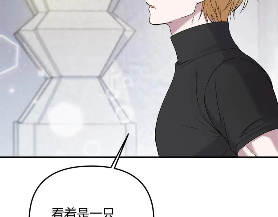 第66话 废物精灵王1