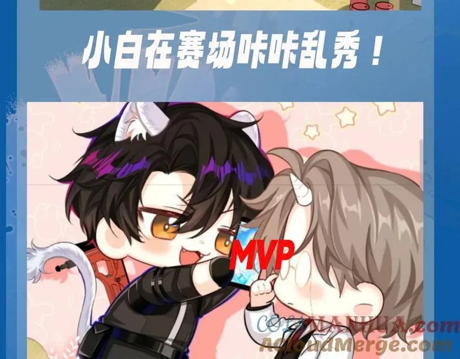 第8期 白楚年的职业畅想 （日更中）2