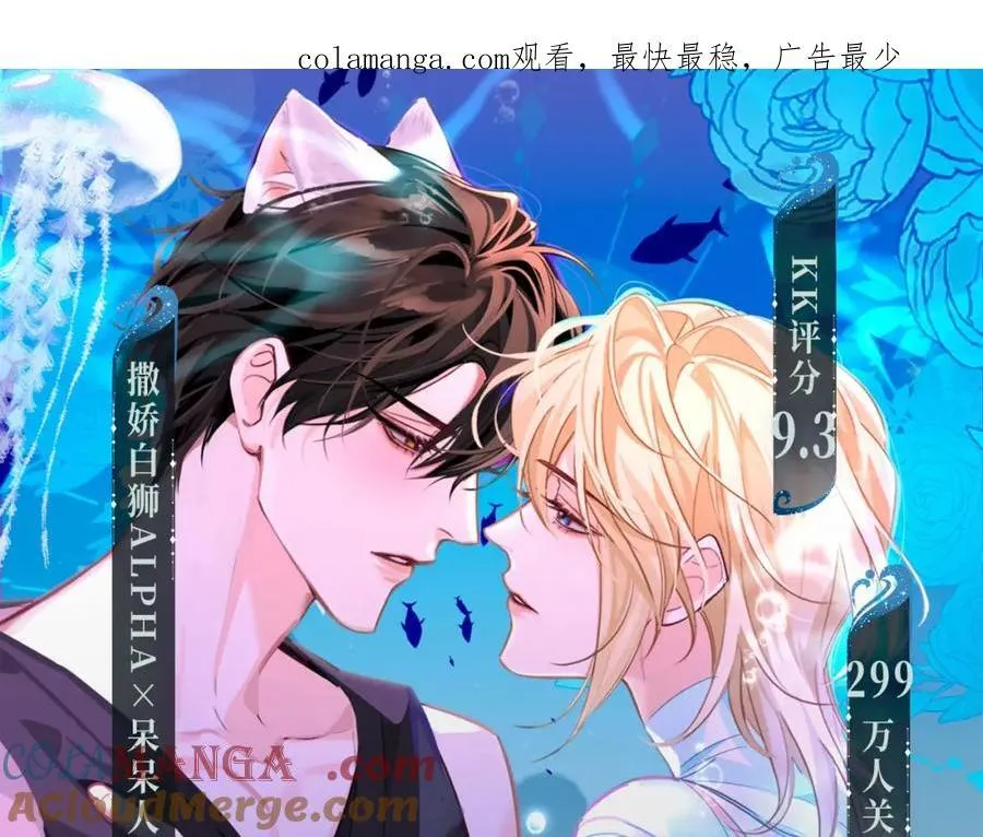 特典季·2月12日 一起围观猫猫头&amp;amp;啵啵鱼的新年！0
