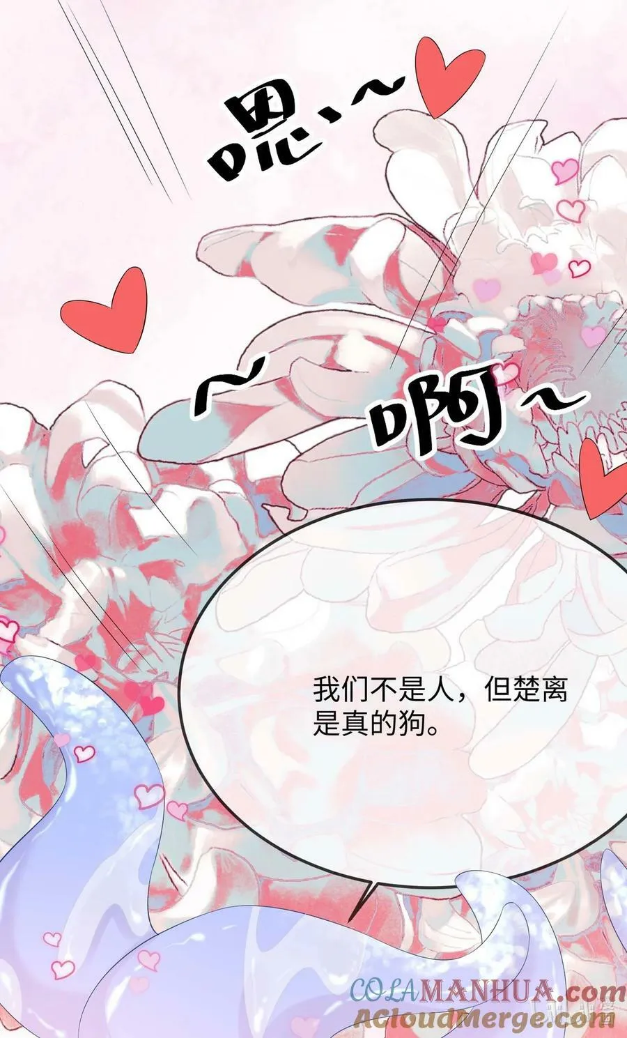 公告 新卷限时福利1