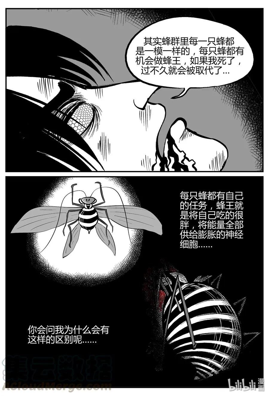 056 它5（13）1