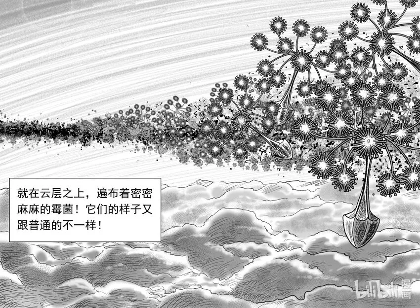 747 它84