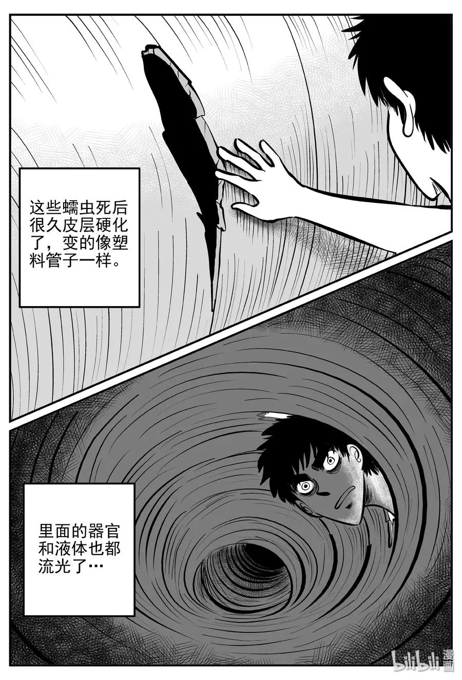 344 石炭纪断层（5）3