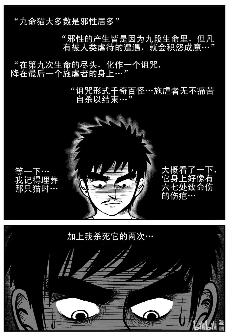163 猫2