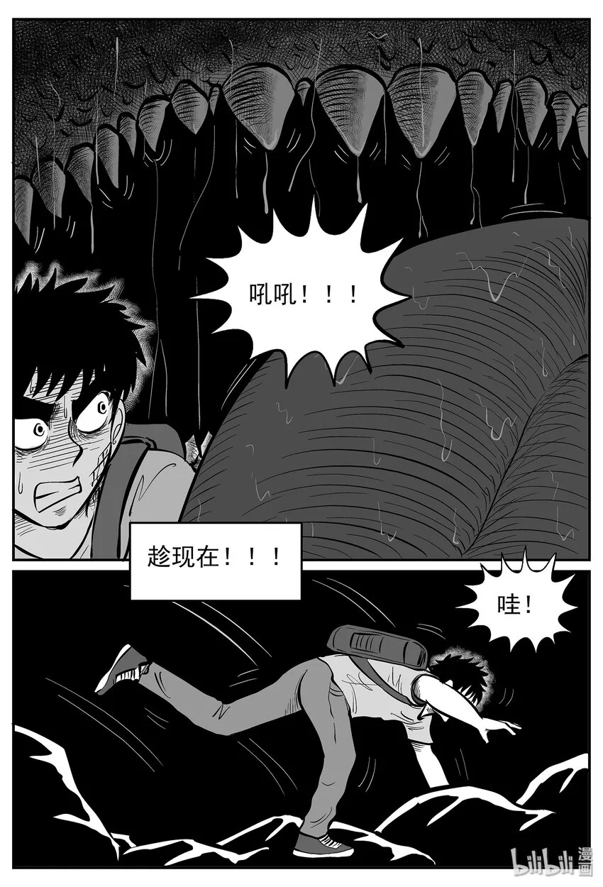 028 它4（12）2
