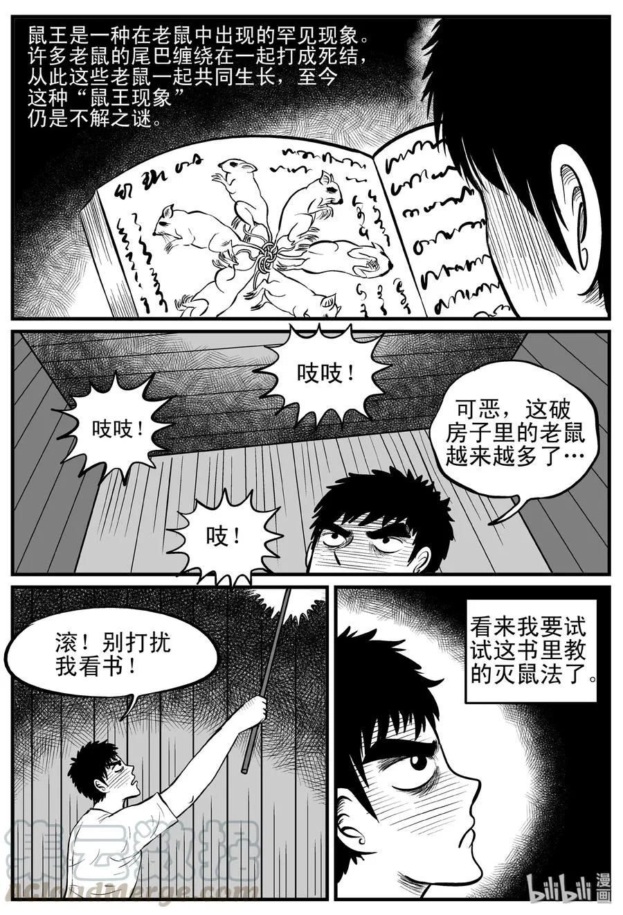 117 网+鼠王4
