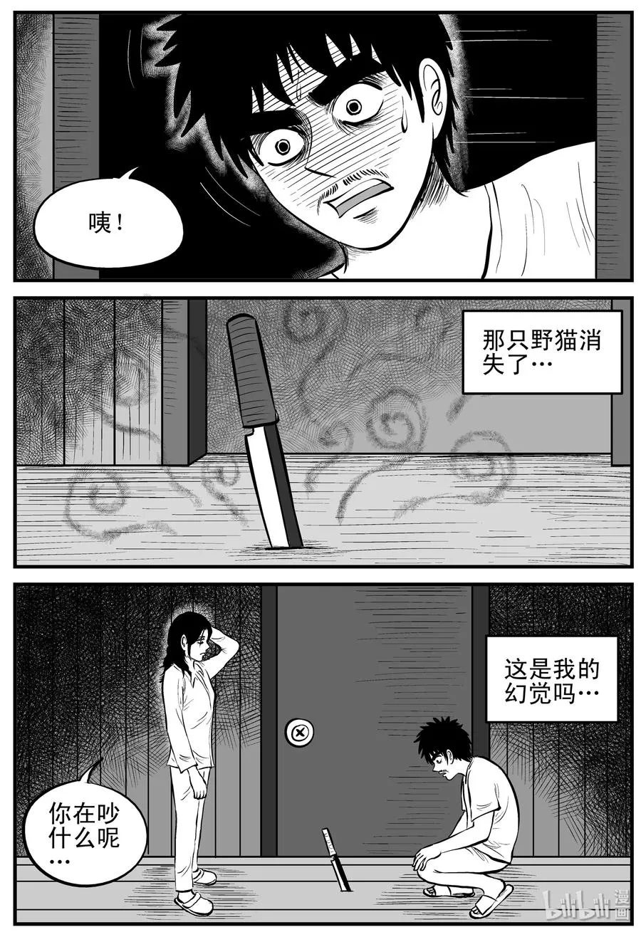 163 猫0