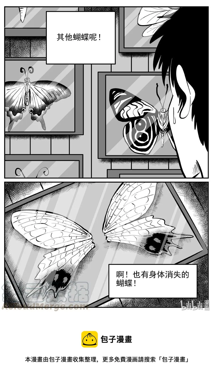 361 蝶变（2）1