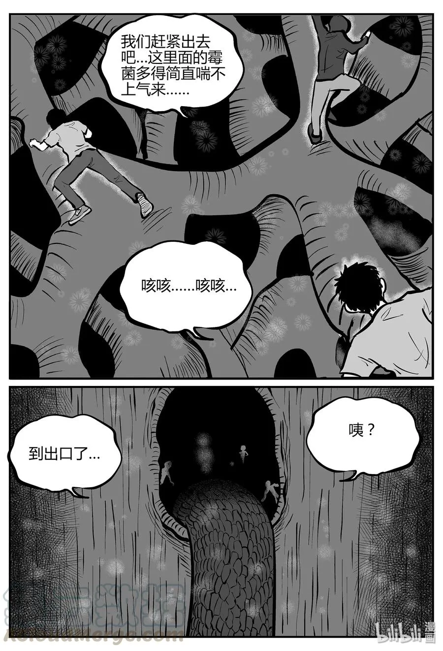 055 它5（12）4