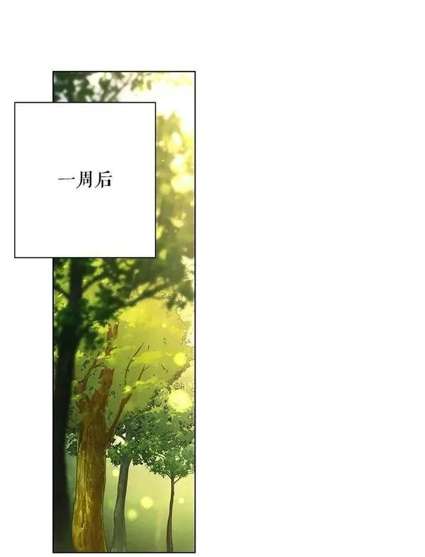 53.神秘魔法2