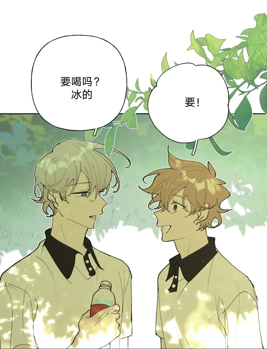 小番外 蜘蛛3