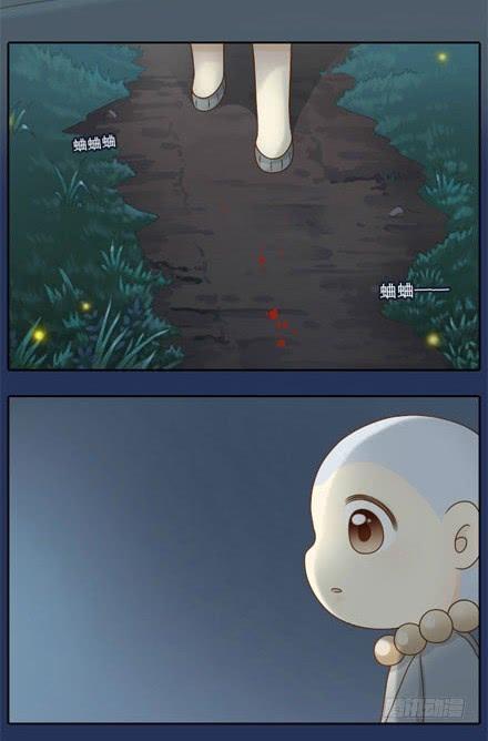 小狐狸身负重伤！4