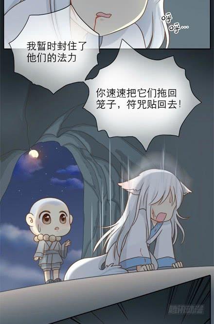 小狐狸身负重伤！1