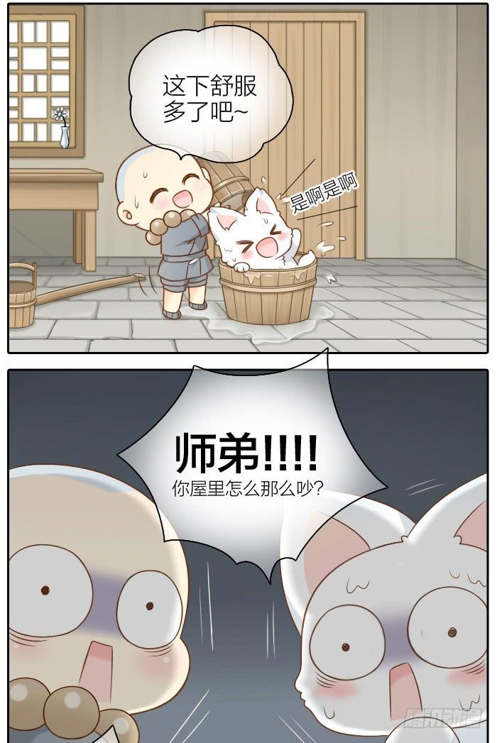 小狐狸湿身了4