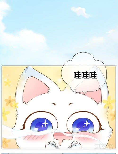 你别不理我3