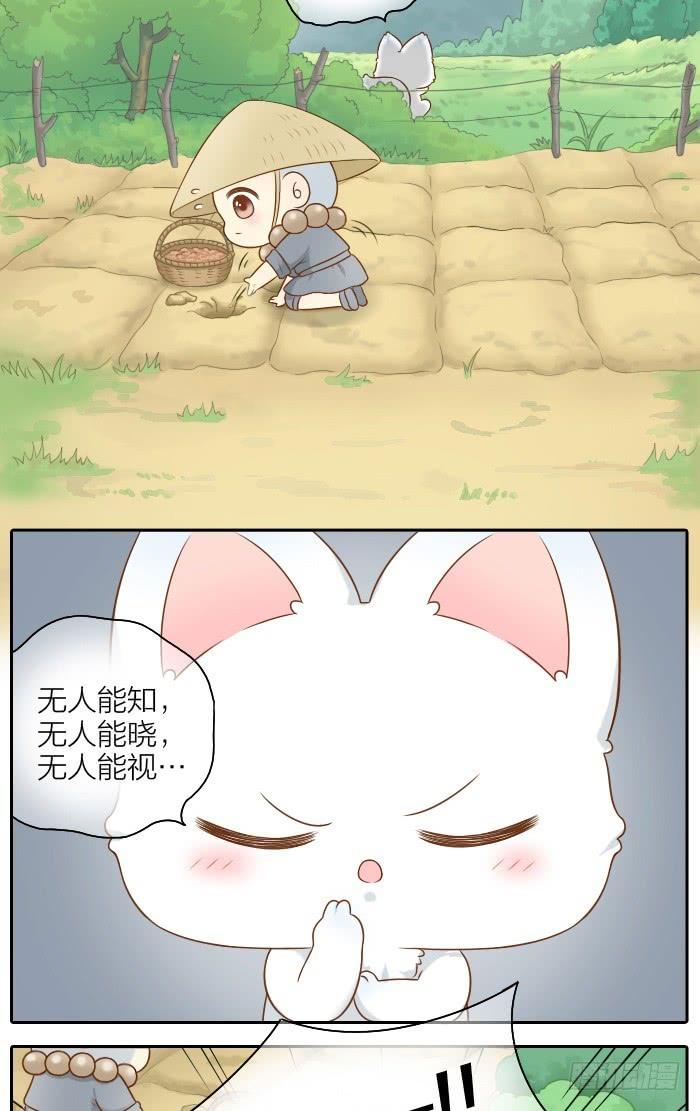 小狐狸失踪了1