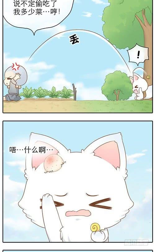 跟踪小和尚4