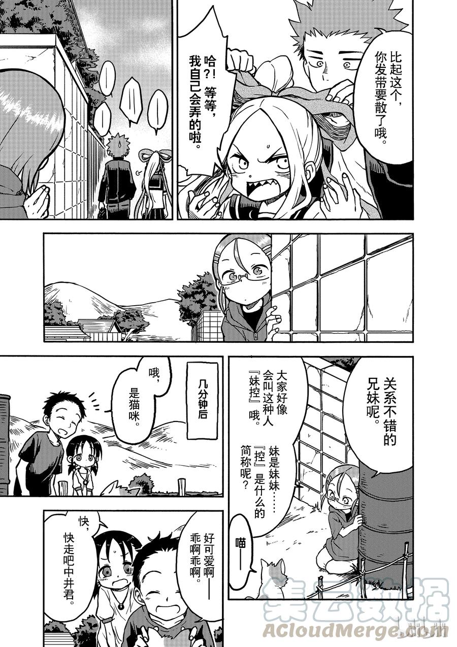 16 猫咪大师4