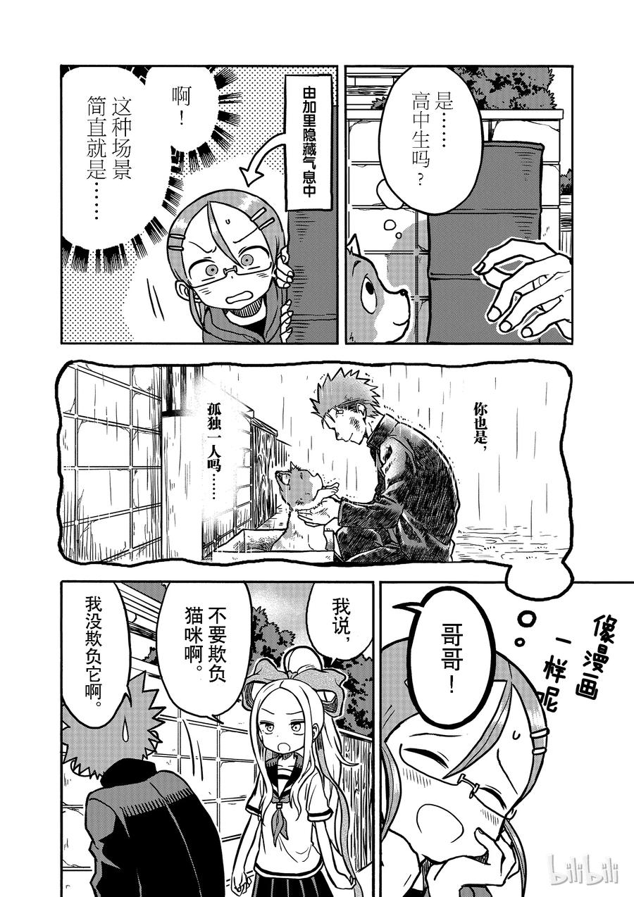 16 猫咪大师3