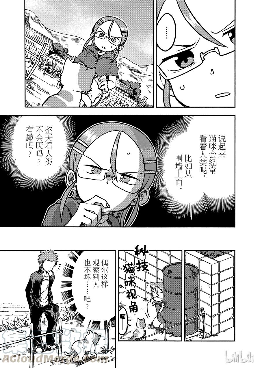 16 猫咪大师2