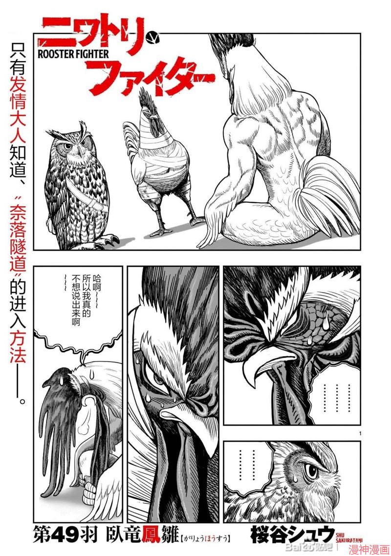 第49话0