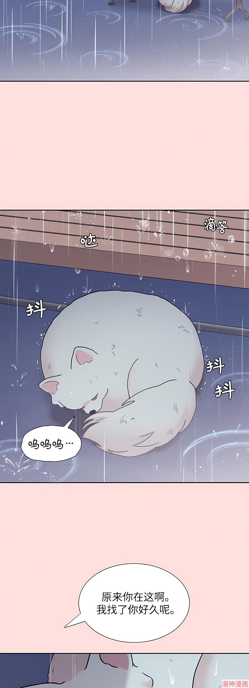 最终话2