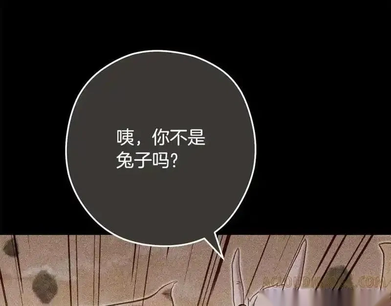 第253话 猎杀人类的魔女4